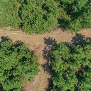 Photo #22 of Old Windmill, Ridgeway, SC