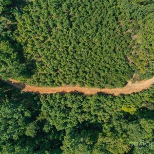 Photo #19 of Old Windmill, Ridgeway, SC