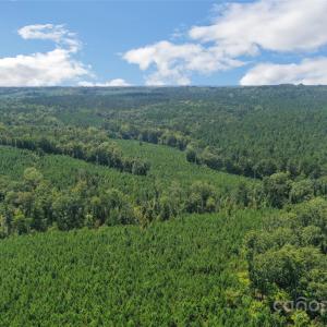 Photo #7 of Old Windmill, Ridgeway, SC