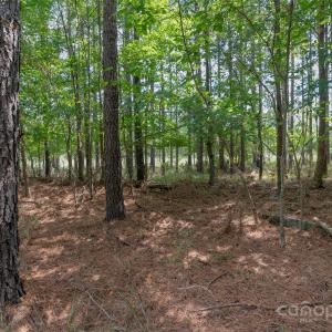 Photo #41 of Old Windmill, Ridgeway, SC