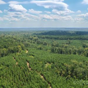 Photo #12 of Old Windmill, Ridgeway, SC