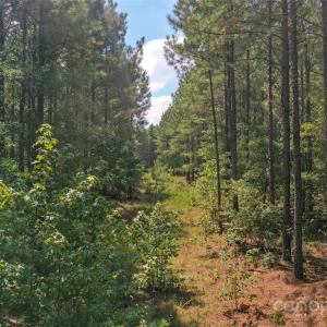Photo #32 of Old Windmill, Ridgeway, SC