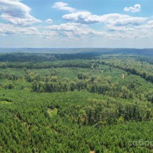 Photo #31 of Old Windmill, Ridgeway, SC