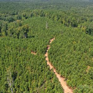 Photo #26 of Old Windmill, Ridgeway, SC