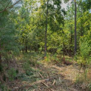 Photo #43 of Old Windmill, Ridgeway, SC