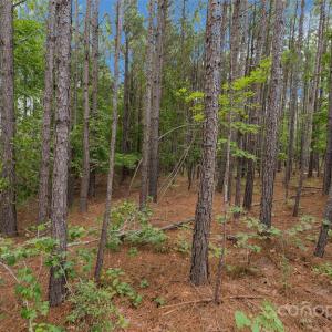 Photo #46 of Old Windmill, Ridgeway, SC