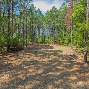 Photo #36 of Old Windmill, Ridgeway, SC