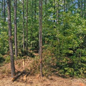 Photo #33 of Old Windmill, Ridgeway, SC