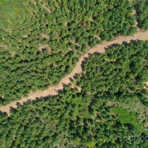 Photo #30 of Old Windmill, Ridgeway, SC