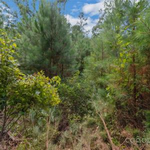 Photo #45 of Old Windmill, Ridgeway, SC