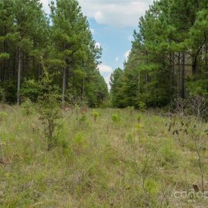 Photo #39 of Old Windmill, Ridgeway, SC