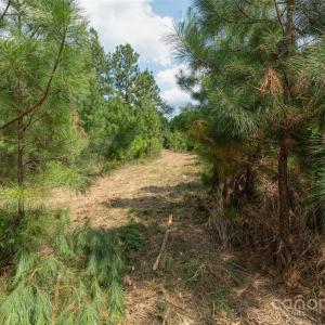 Photo #44 of Old Windmill, Ridgeway, SC
