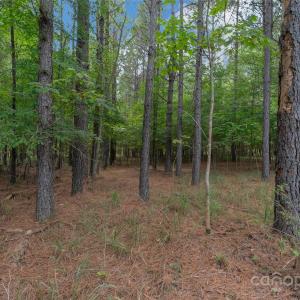 Photo #40 of Old Windmill, Ridgeway, SC