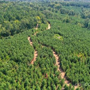 Photo #10 of Old Windmill, Ridgeway, SC