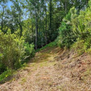 Photo #10 of 29010 Silver Fox, Tega Cay, SC