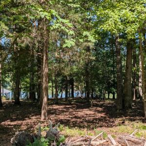 Photo #15 of Lot 14 Russ, Mount Gilead, NC
