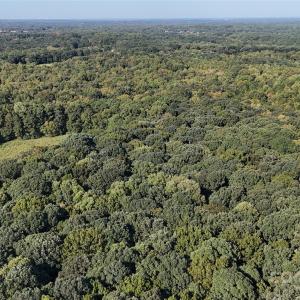 Photo #7 of 3010 Potter, Waxhaw, NC