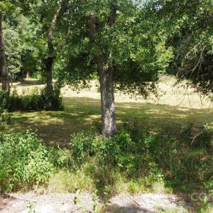 Photo #5 of 951 Wateree Estates, Winnsboro, SC