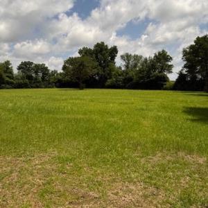 Photo #26 of Windmill, Little Rock, SC