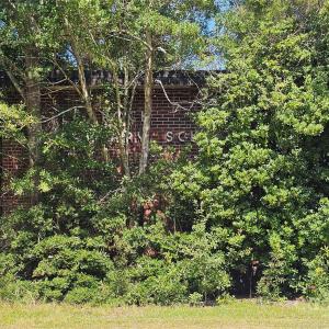 Photo #7 of Windmill, Little Rock, SC