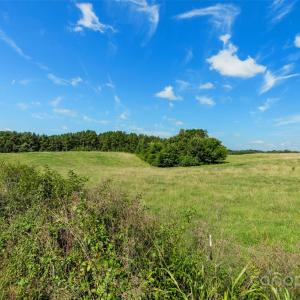 Photo #37 of Lucy Short Cut, Marshville, NC