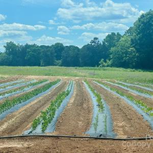 Photo #2 of 36299 Finger, Mount Pleasant, NC