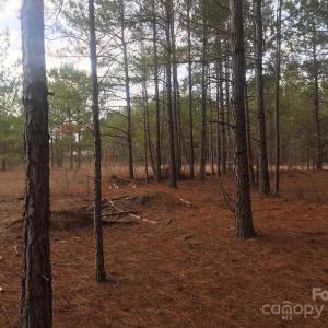 Photo #5 of 1824 Germantown, Dillon, SC