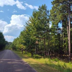 Photo #7 of Lot 109 Riverbluff, Lilesville, NC