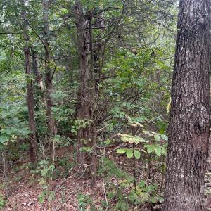 Photo #34 of 3485 Cedar Circle, Lancaster, SC