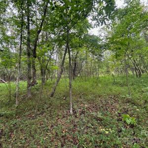 Photo #8 of 3485 Cedar Circle, Lancaster, SC