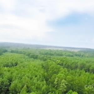Photo #10 of 101 +/- AC Woods Ferry, Carlisle, SC