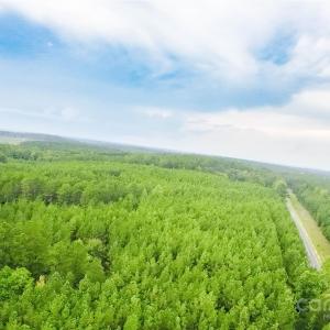 Photo #9 of 101 +/- AC Woods Ferry, Carlisle, SC