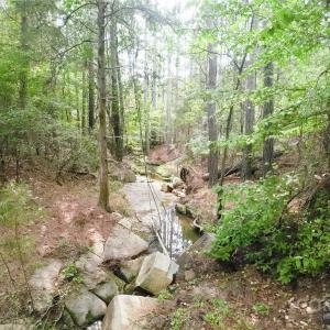 Photo #16 of 101 +/- AC Woods Ferry, Carlisle, SC