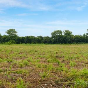 Photo #33 of Milling, Rock Hill, SC