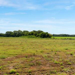 Photo #30 of Milling, Rock Hill, SC