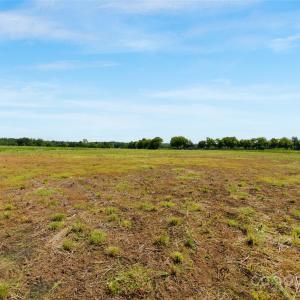 Photo #26 of Milling, Rock Hill, SC