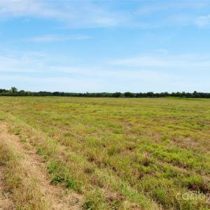 Photo #36 of Milling, Rock Hill, SC