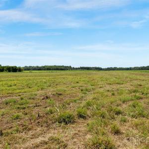 Photo #20 of Milling, Rock Hill, SC