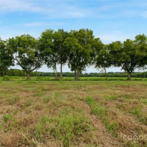 Photo #37 of Milling, Rock Hill, SC