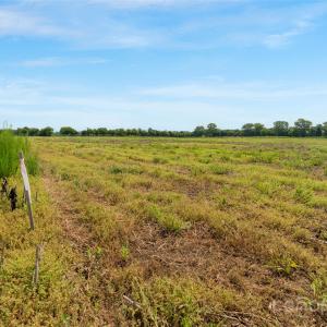 Photo #21 of Milling, Rock Hill, SC