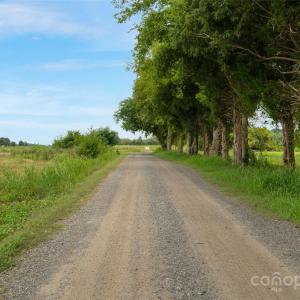 Photo #12 of Milling, Rock Hill, SC