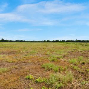 Photo #28 of Milling, Rock Hill, SC