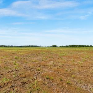 Photo #24 of Milling, Rock Hill, SC