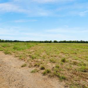 Photo #19 of Milling, Rock Hill, SC