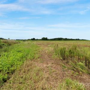 Photo #35 of Milling, Rock Hill, SC