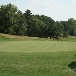 Photo #12 of 11055 Holiday Cove, Tega Cay, SC