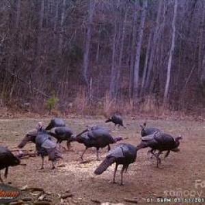 Photo #11 of 1530 Ridgeview, Chester, SC