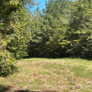 Photo #44 of 1530 Ridgeview, Chester, SC