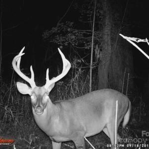 Photo #2 of 1530 Ridgeview, Chester, SC