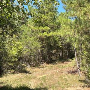 Photo #33 of 1530 Ridgeview, Chester, SC